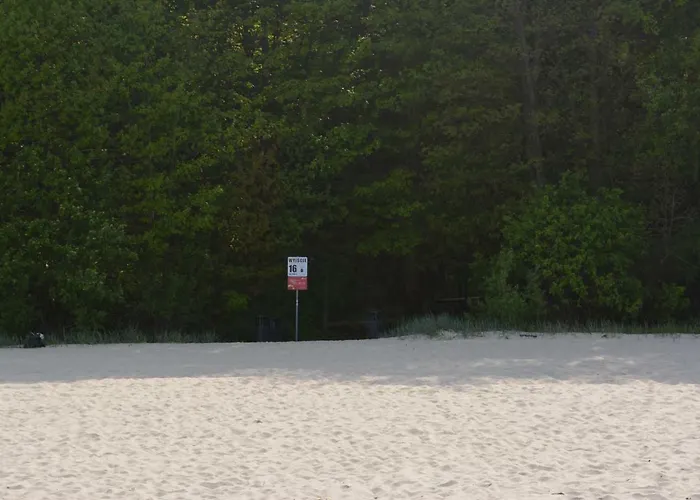 Pansiyon Goscinne Maj Rozewie Kids