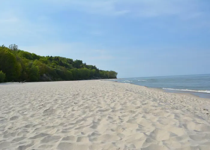 Goscinne Maj Rozewie Kids Pansiyon