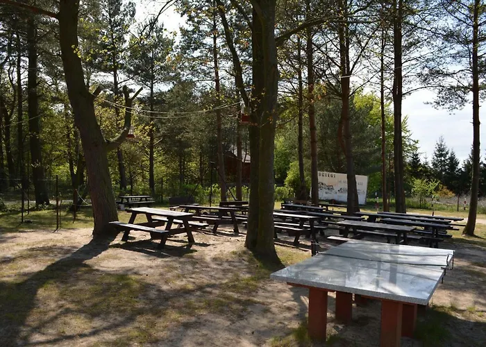 Goscinne Maj Rozewie Kids * Jastrzębia Góra